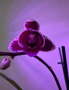 When I Got To Work……..My Actifit Report Card: April 1 2026