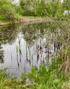 Frog-urday?! 🐸…….. My Actifit Report Card: April 11 2026