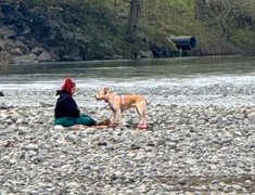 Flamingo 🦩 Tuesday!……. My Actifit Report Card: April 14 2026