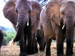 My Actifit Report Card: October 17 2023