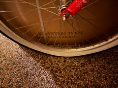 My Actifit Report Card: February 18 2026