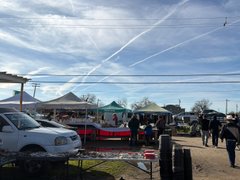 Rat Rod - My Actifit Report Card: February 22 2026