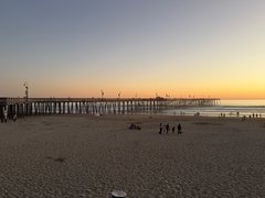 Pismo Beach Vaca - My Actifit Report Card: March 18 2026