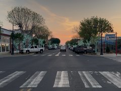 Family Ride - My Actifit Report Card: March 23 2026