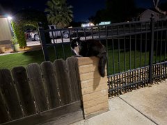 Neighborhood - My Actifit Report Card: April 14 2026