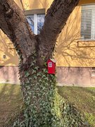 My Actifit Report Card: March 20 2026