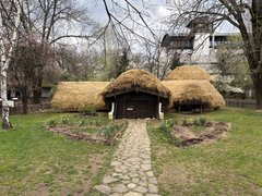 My Actifit Report Card: April 7 2026