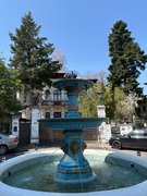 My Actifit Report Card: April 8 2026