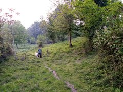 My Actifit Report Card: April 23 2025