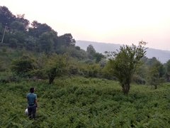 My Actifit Report Card: April 23 2025