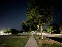 Little Tiger - My Actifit Report Card: June 26 2025