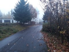 My Actifit Report Card: March 26 2026