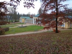 My Actifit Report Card: March 24 2026