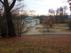 My Actifit Report Card: March 24 2026