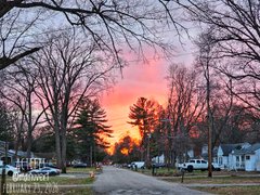 My Actifit Report Card: March 23 2026