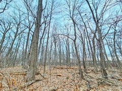 My Actifit Report Card: March 23 2026