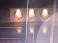 My Actifit Report Card: March 25 2026