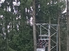 My Actifit Report Card: April 13 2026