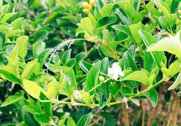 My Actifit Report Card: May 18 2023