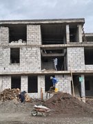 Big Brother Bureaucracy. My Actifit Report Card: March 18 2026