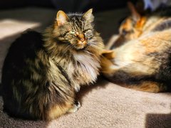 My Actifit Report Card: January 22 2026