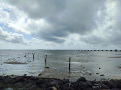 My Actifit Report Card: March 25 2026 - My Alive and Thriving Monday!