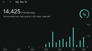 Wknd Adventure -- Actifit Report Card: November 15 + 16, 2025