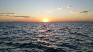 My Actifit Report Card: October 1 2024