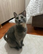 Benim Actifit Rapor Kartım: Nisan 3 2026