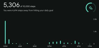 Wknd Adventure -- Actifit Report Card: November 15 + 16, 2025