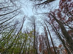 Beaujolais Nouveau! - My Actifit Report Card: November 20 2025