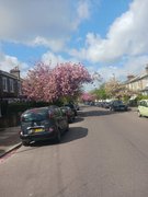 My Actifit Report Card: April 12 2026