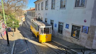 Activity 15 of 2025: January 15th