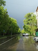 My Actifit Report Card: May 29 2022