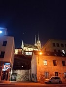 My Actifit Report Card: March 3 2026