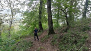 My Actifit Report Card: September 18 2025