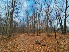 My Actifit Report Card: November 28 2025