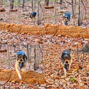 My Actifit Report Card: November 22 2025