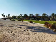 Beautiful Views And Sleepless Nights Make A Better Writer Actifit Report Card: February 27 2024