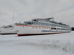 My Actifit Report Card of January 8, 2026: Daily Routine