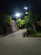 My Actifit Report Card: March 24 2026