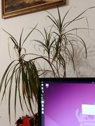 My Actifit Report Card: April 3 2026