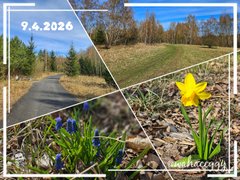 [EN/CZ] My Actifit Report Card: April 9 2026