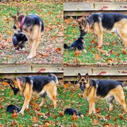 My Actifit Report Card: November 16 2025