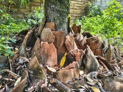 My Actifit Report Card: January 25 2026