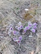 My Actifit Report Card: March 10 2026