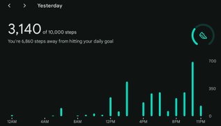 Happy Christmas Eve -- Actifit Report Card: December 24, 2025