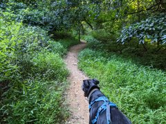 I saw Rage Against the Machine tonight!!!