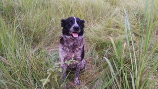 My Actifit Report Card: August 14 2025