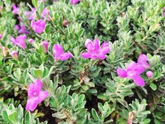 My Actifit Report Card: March 31 2023